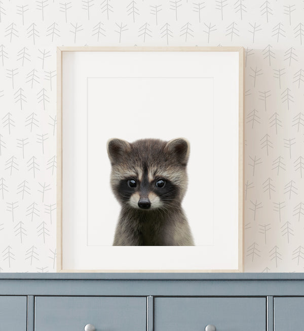 Baby Raccoon Print - Little Folk Printables