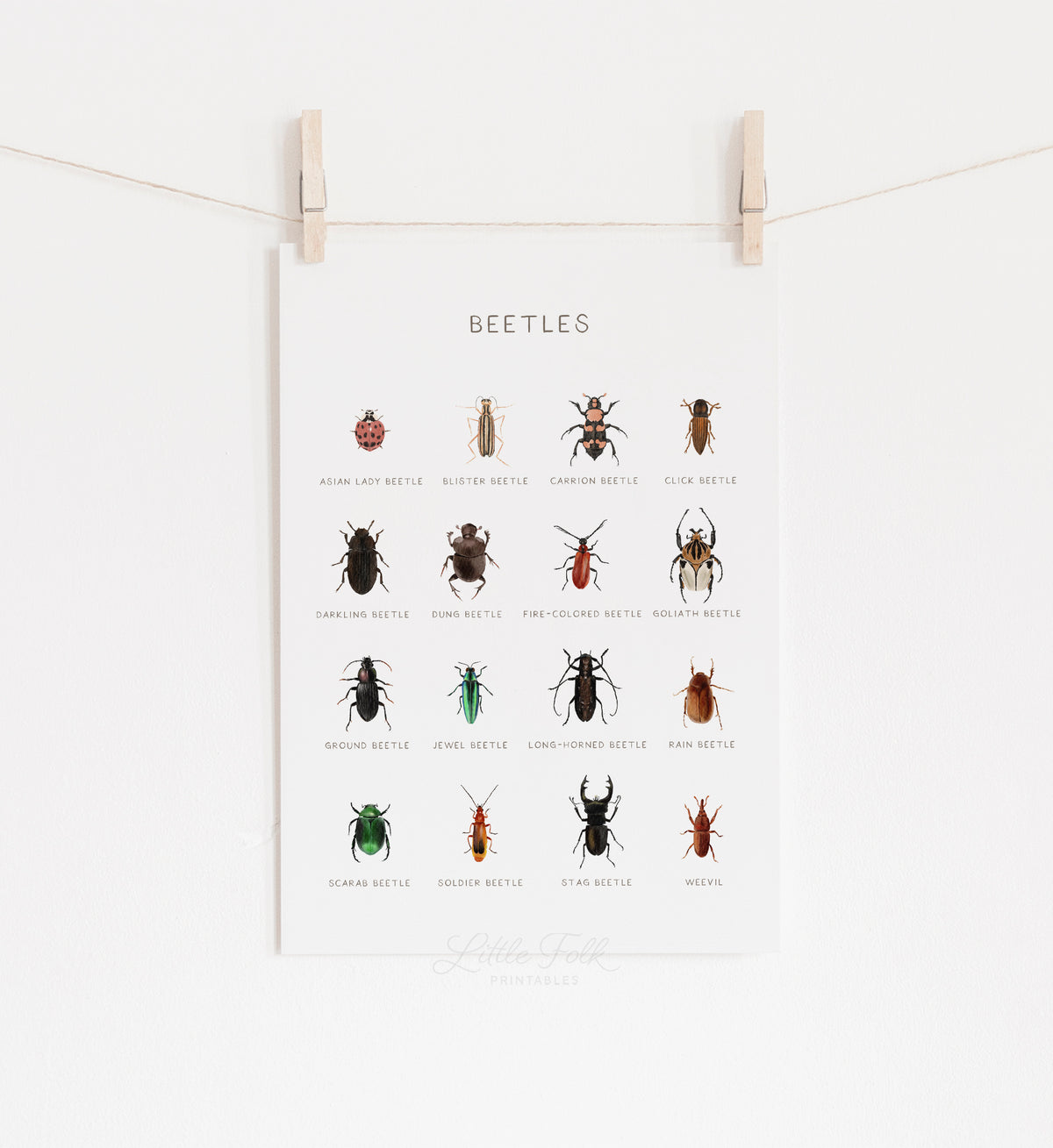 Beetles Print