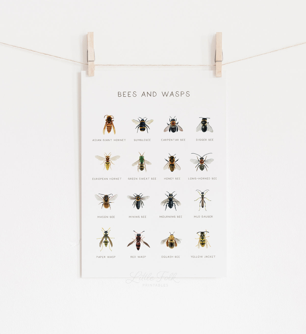 Bees and Wasps Print