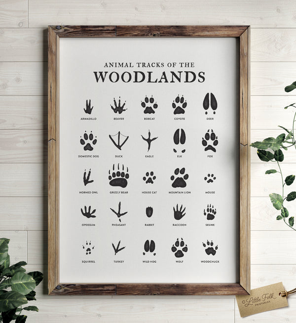 Animal Tracks Print No. 2 - Little Folk Printables
