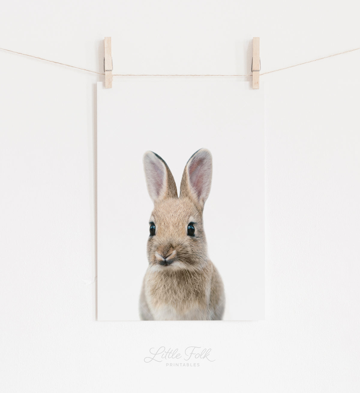 Baby Bunny Print