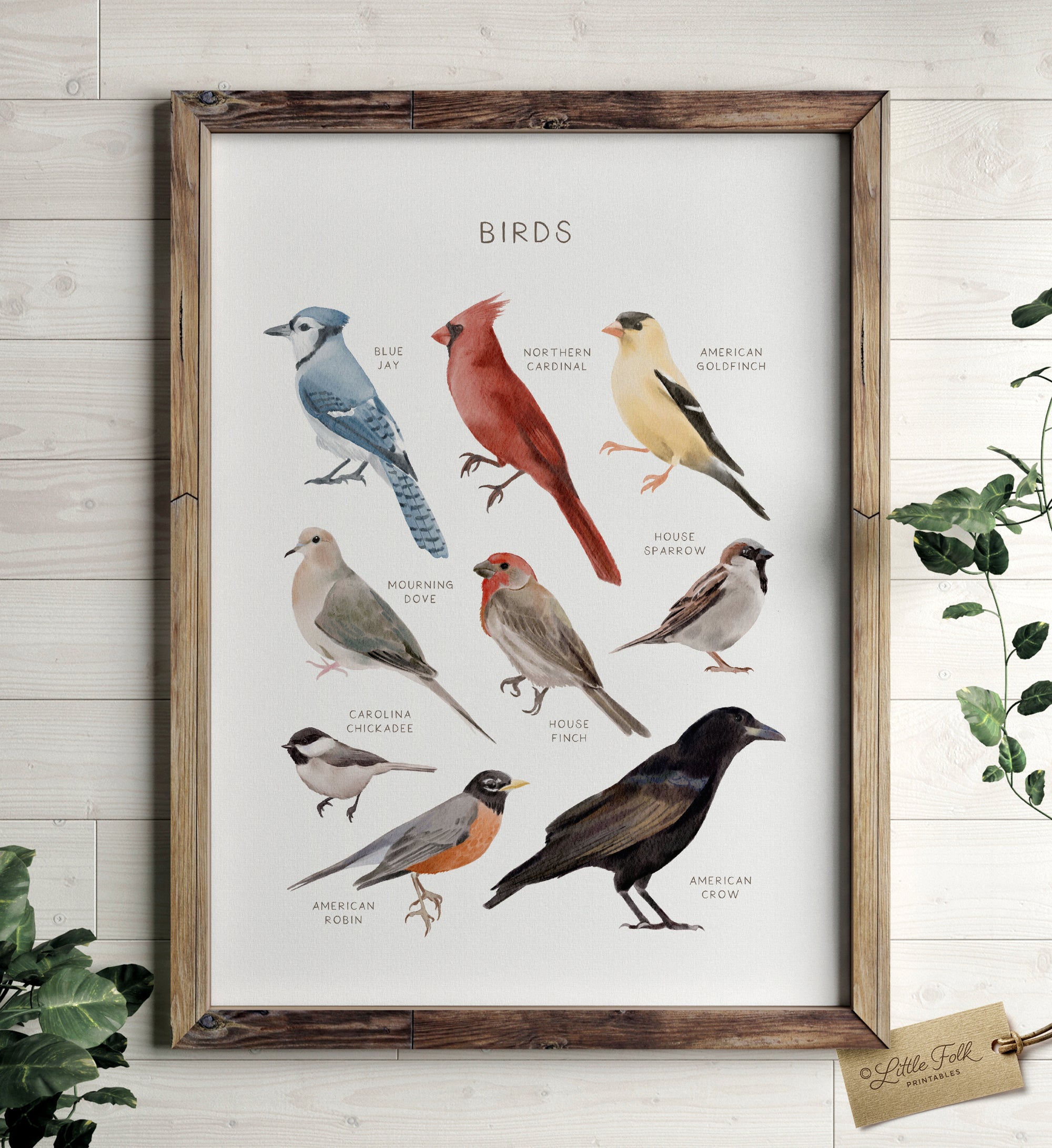 Birds Print - MRCP