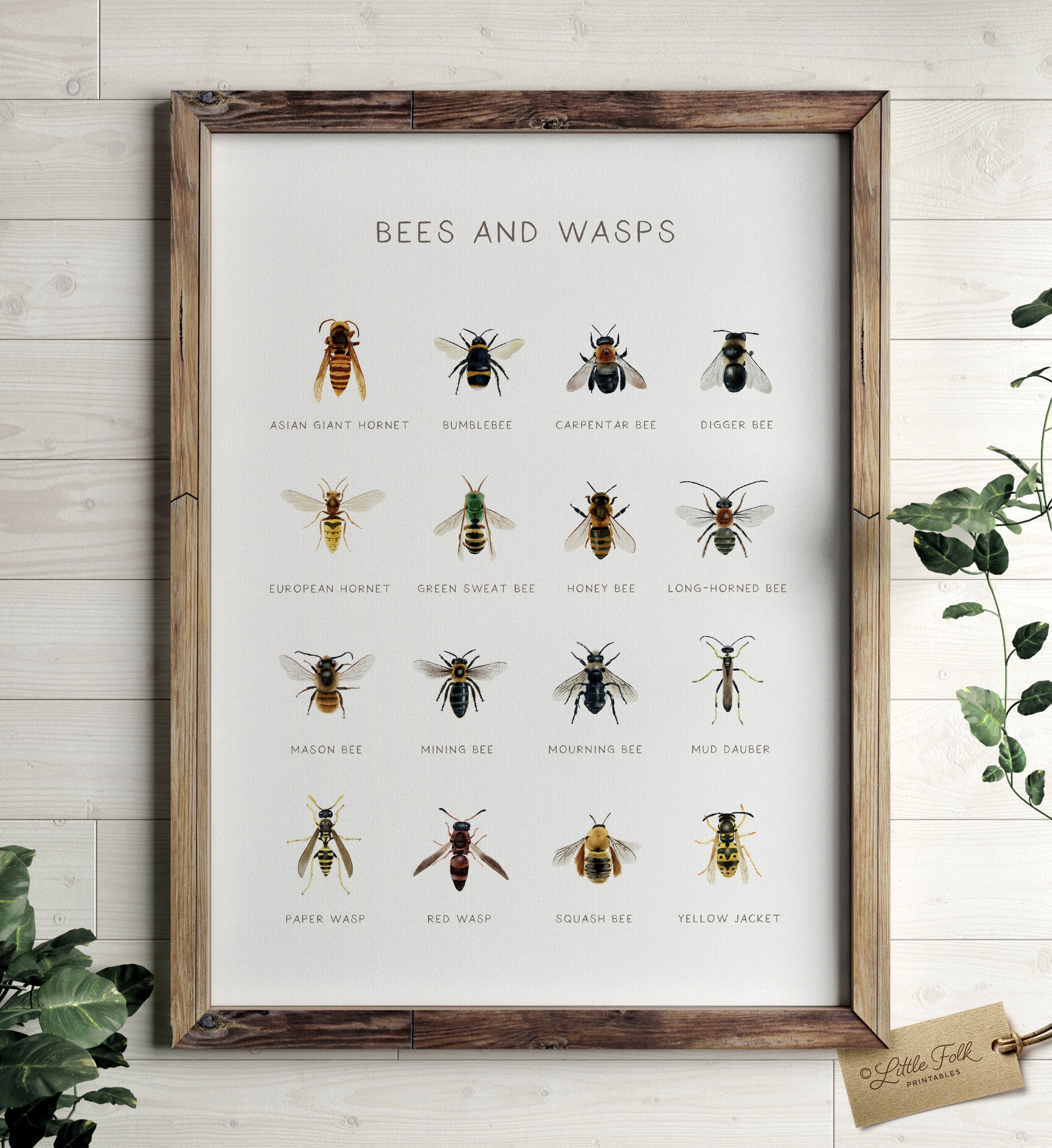 Bees and Wasps Print