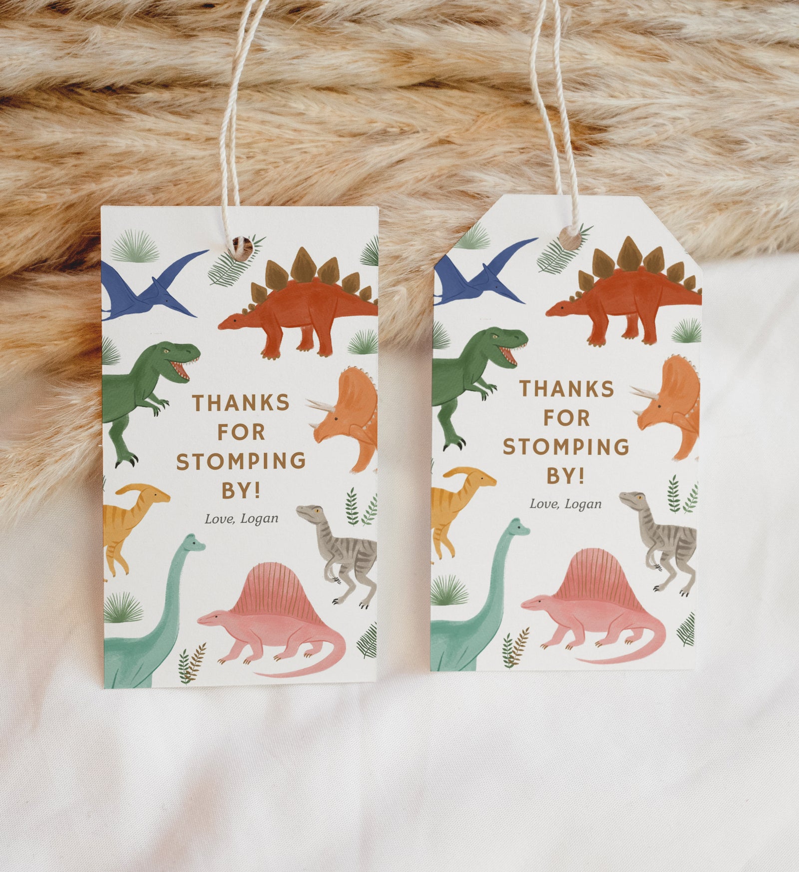 Editable Dinosaur Birthday Party Favor Tag Template