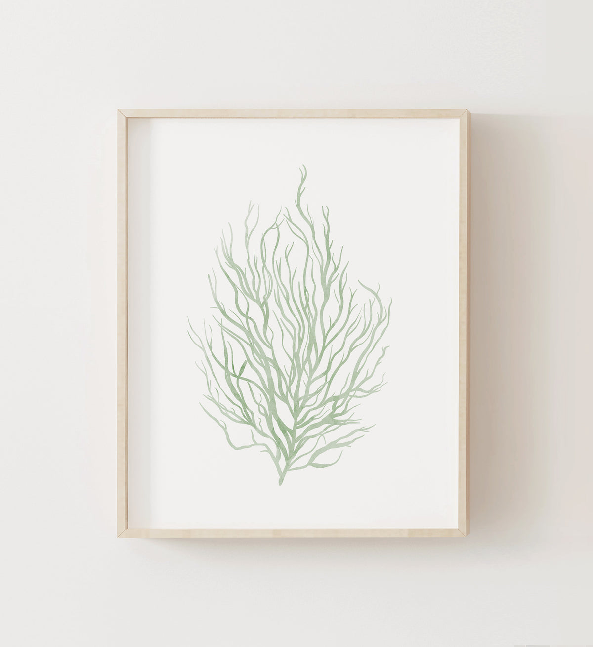 Seaweed Print No. 1