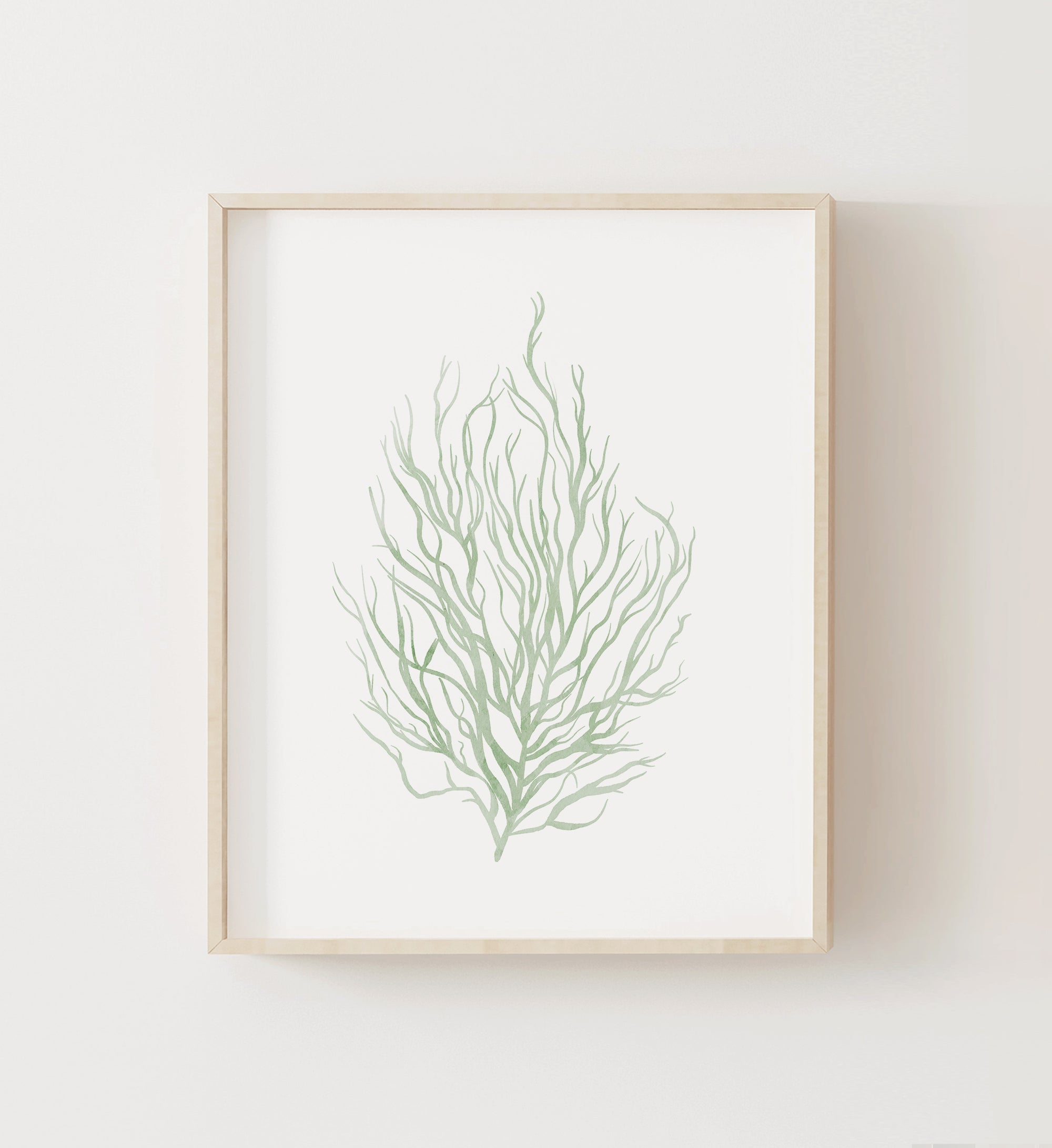 Seaweed Print No. 1