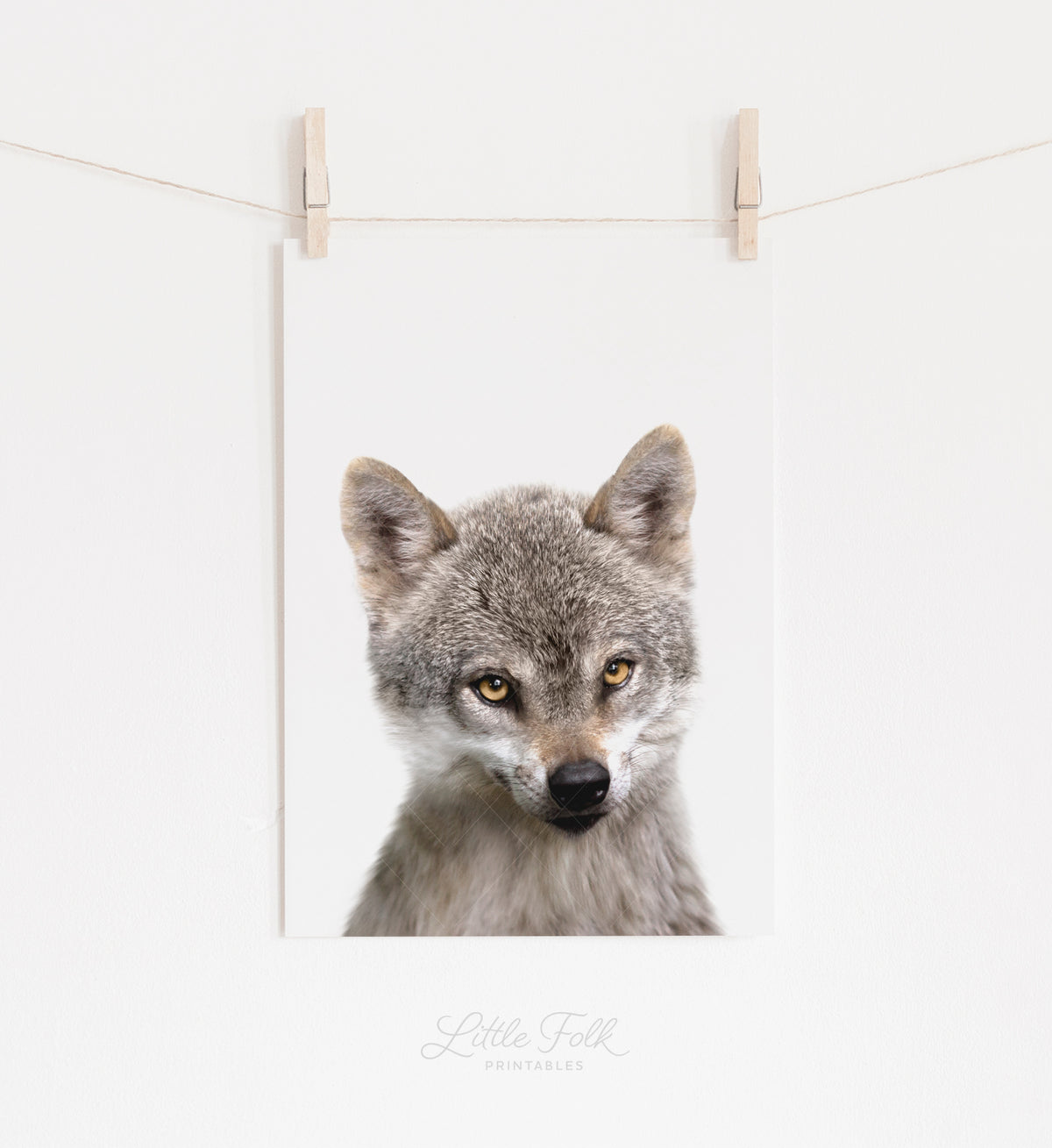 Baby Wolf Print