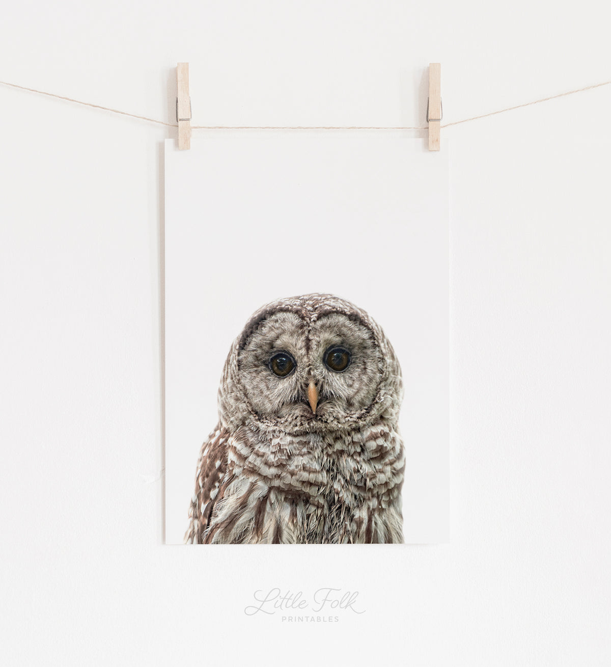 Baby Owl Print