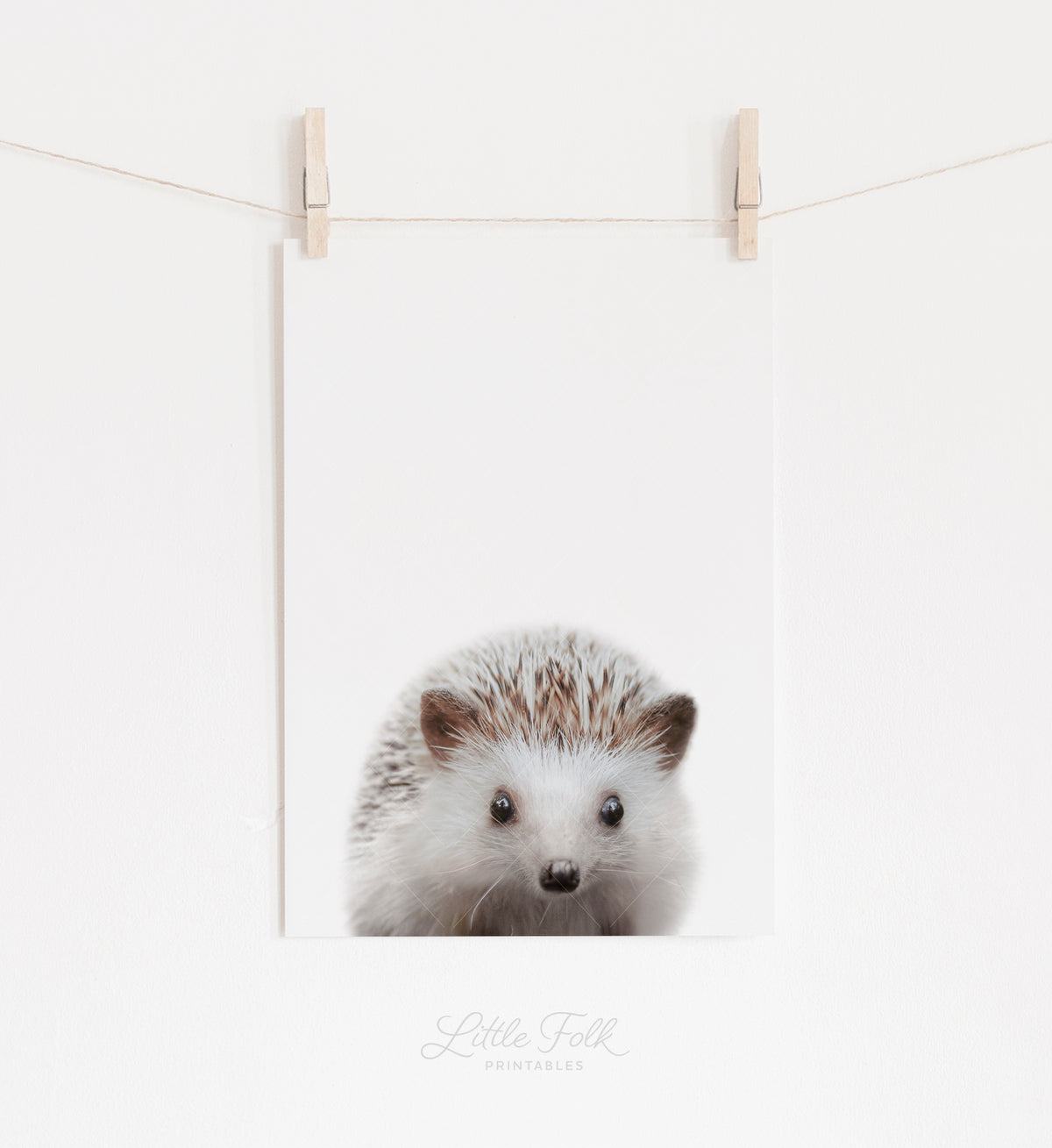 Baby Hedgehog Print