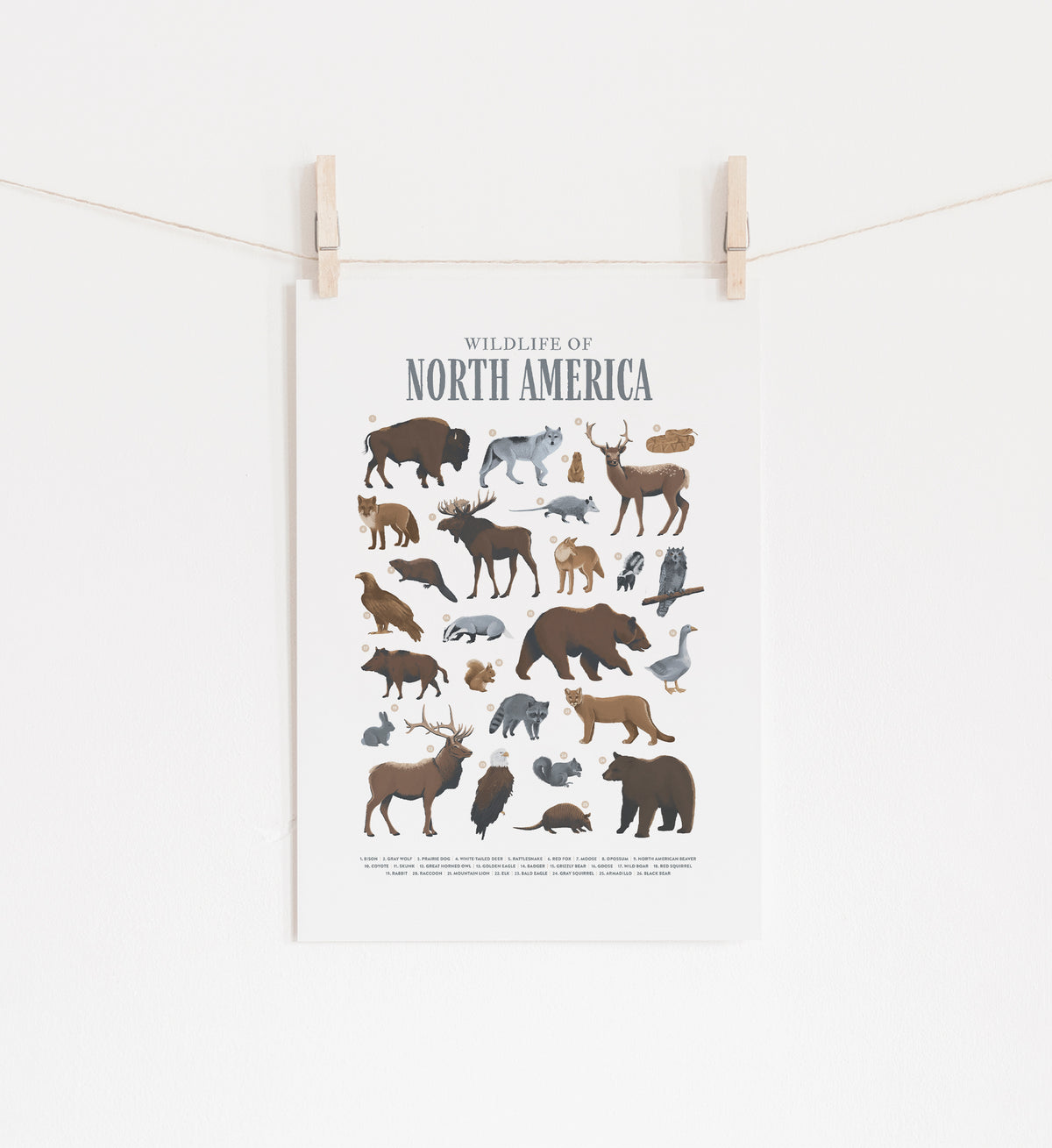 Animals of North America Print