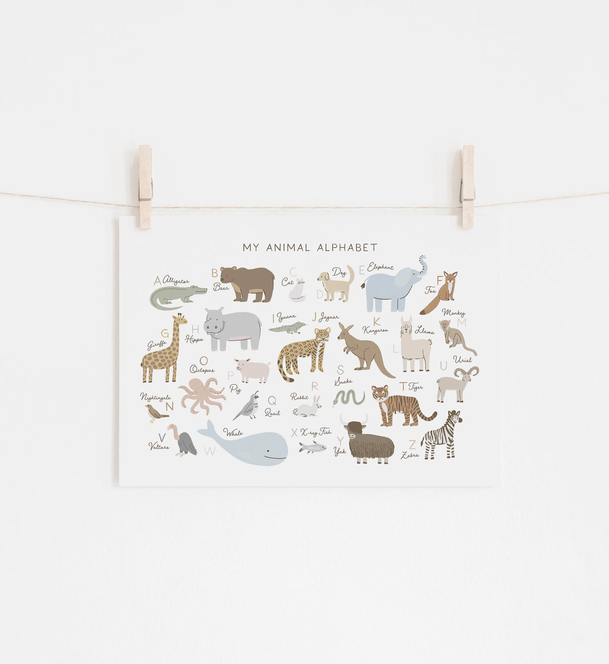 Animal Alphabet Horizontal Print - SNCP
