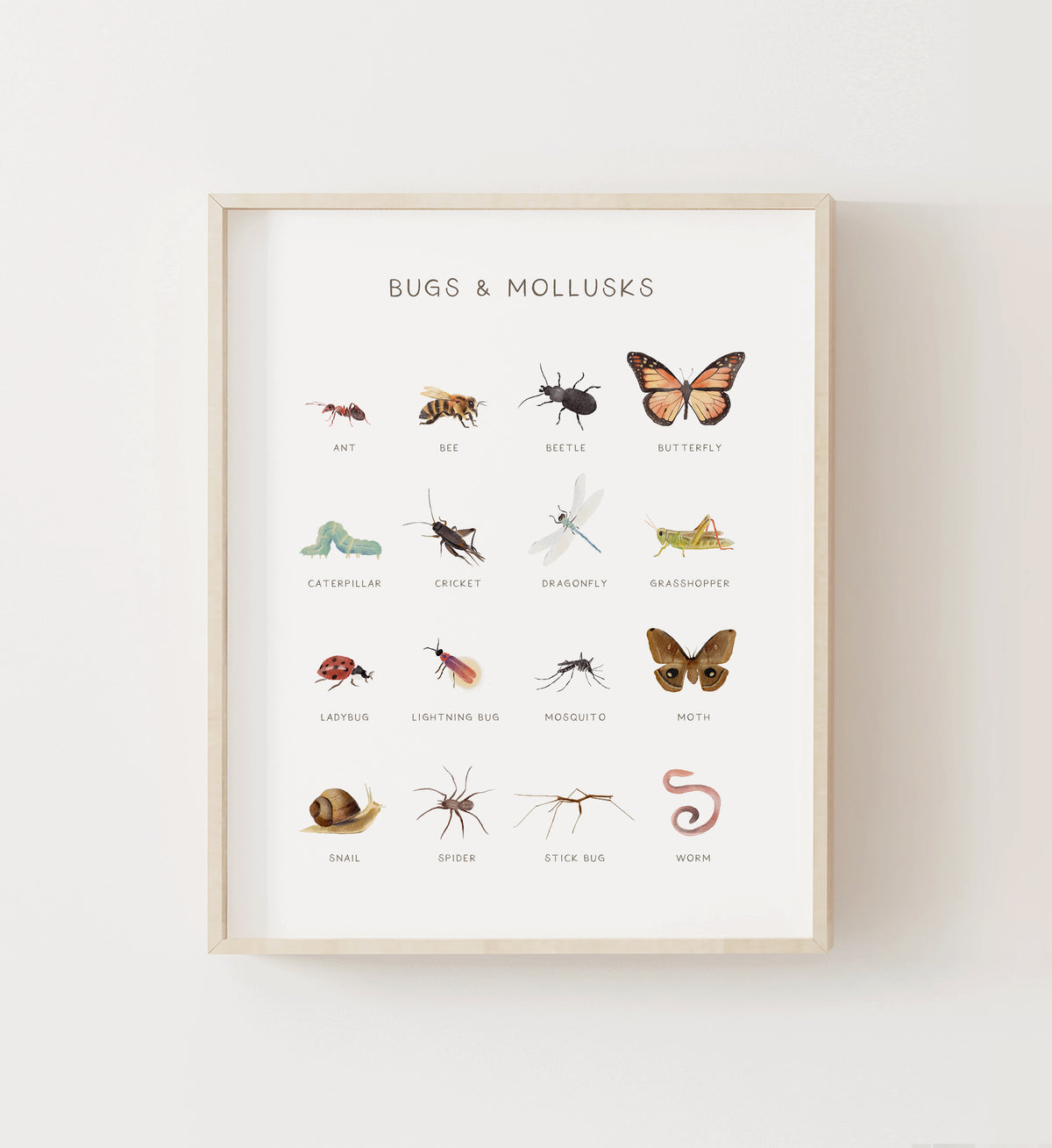 Bugs &amp; Mollusks Print - MRCP