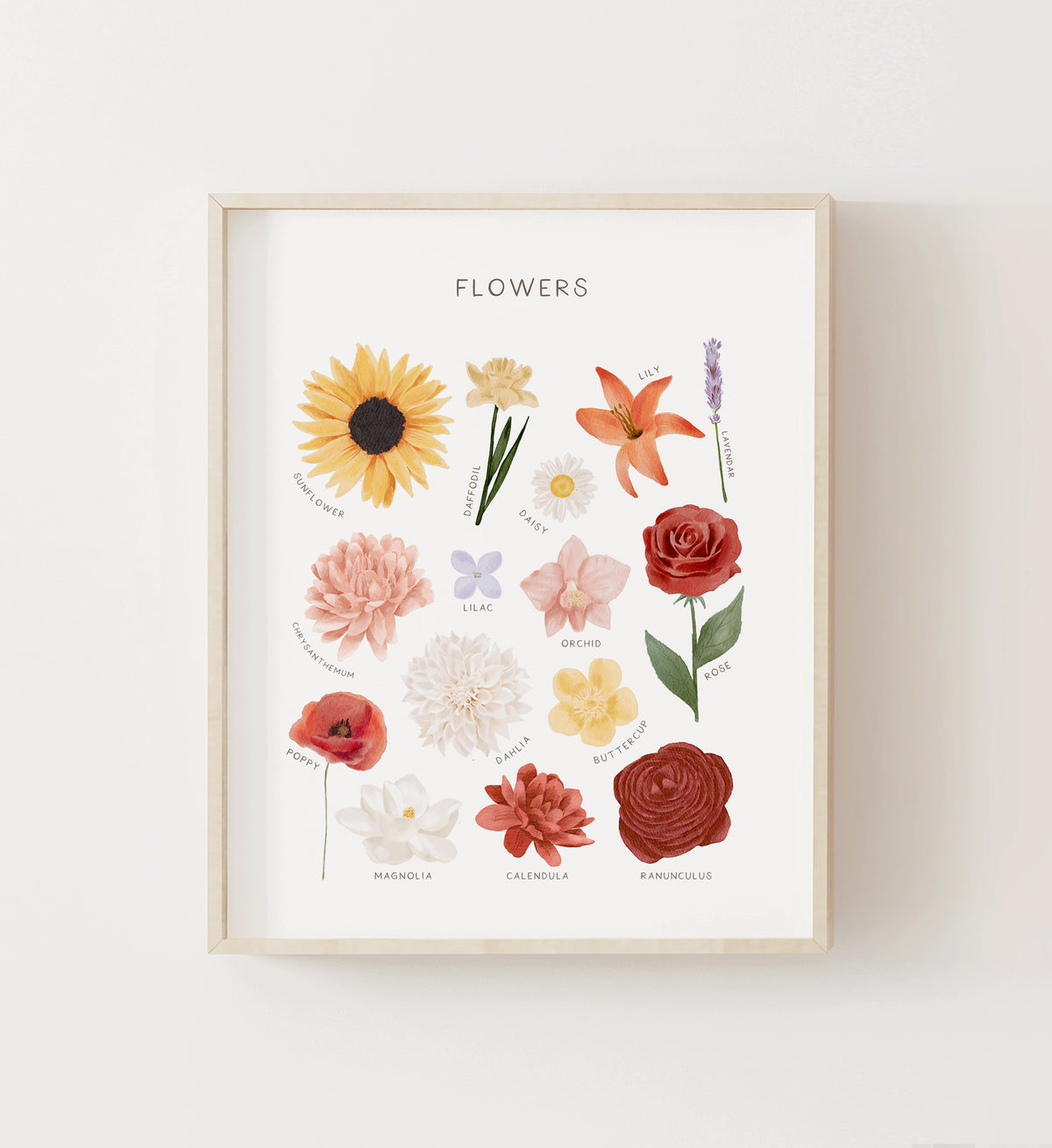 Flowers Print - MRCP
