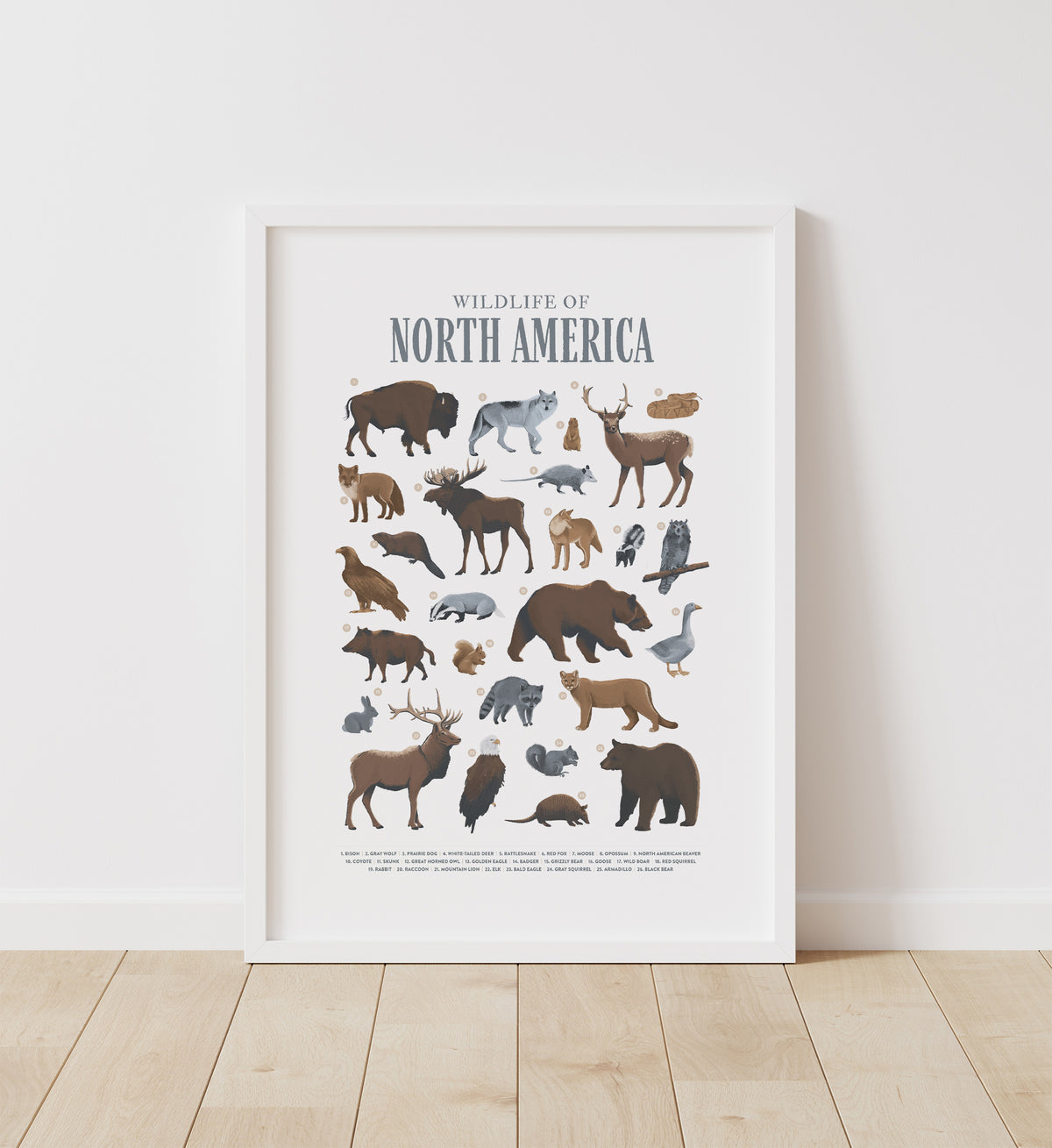 Animals of North America Print