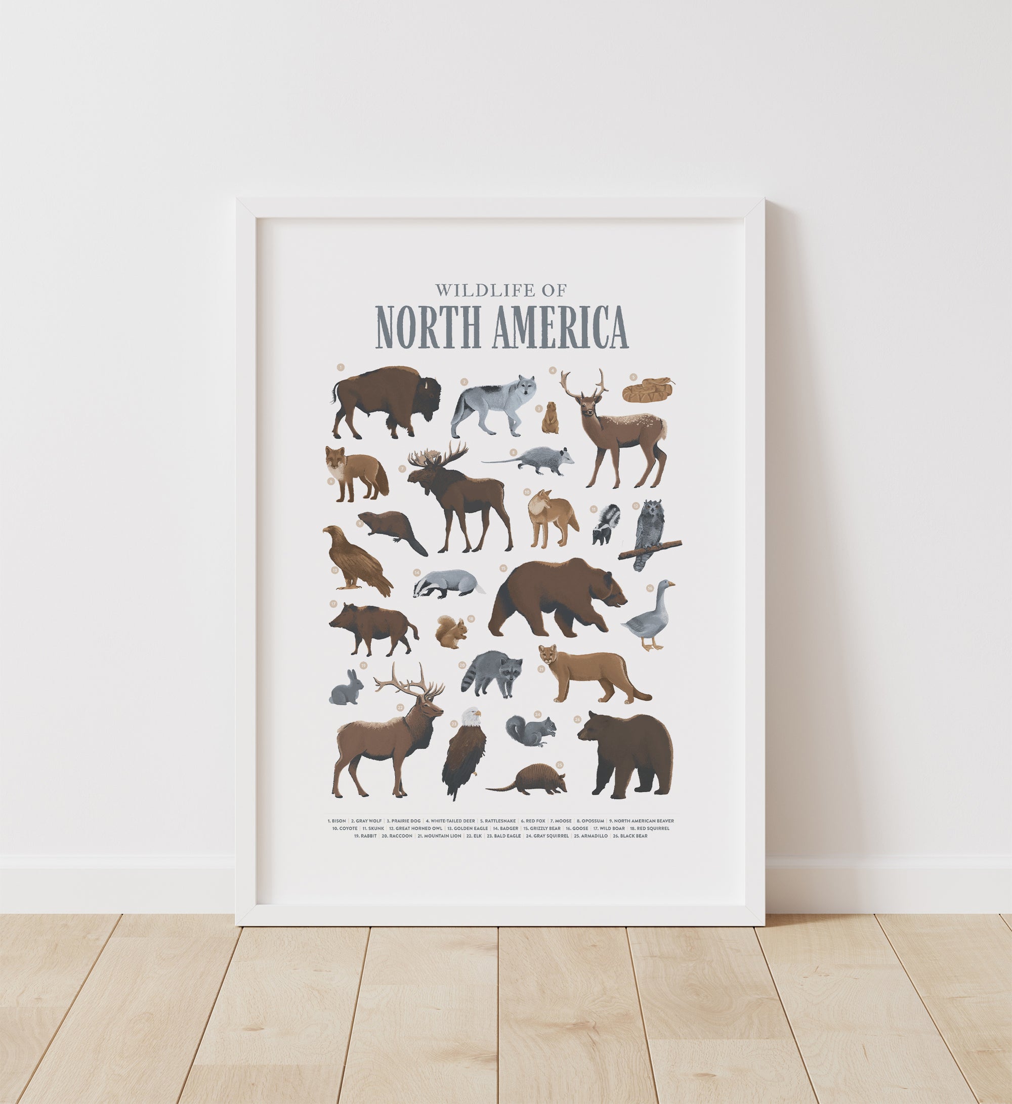 Animals of North America Print
