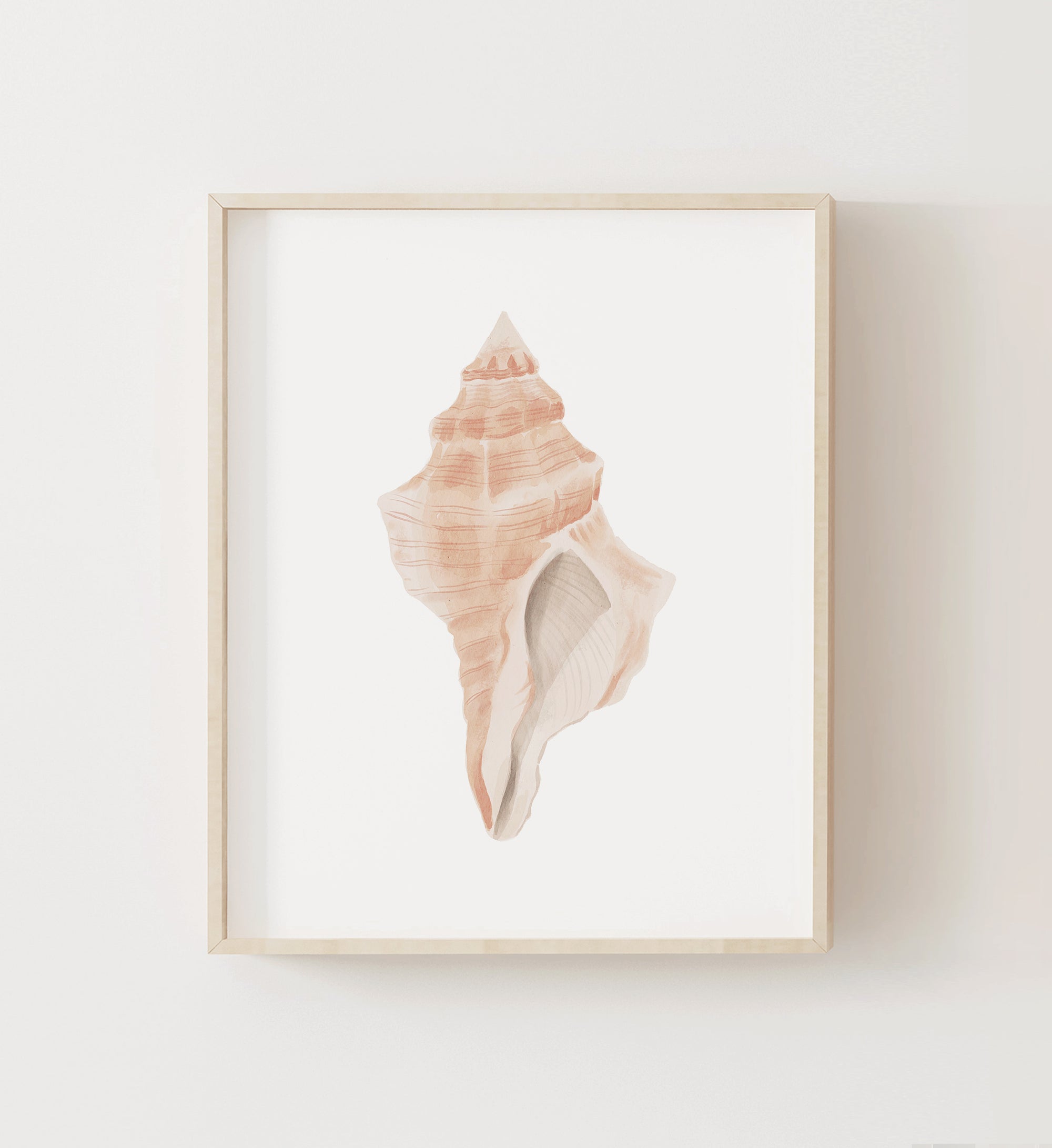 Sea Shell Print No. 1
