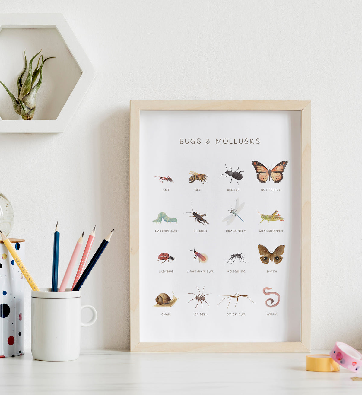 Bugs &amp; Mollusks Print - MRCP