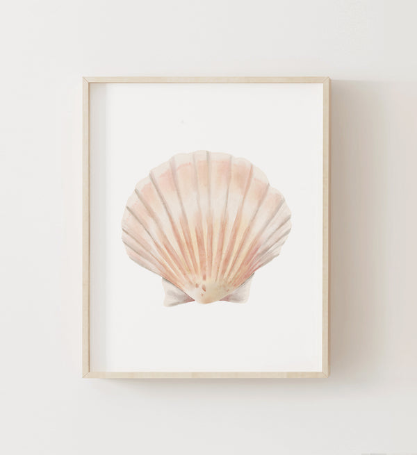 Shell Prints Small Shells Sea Shell Print No. 2 - Little Folk Printables
