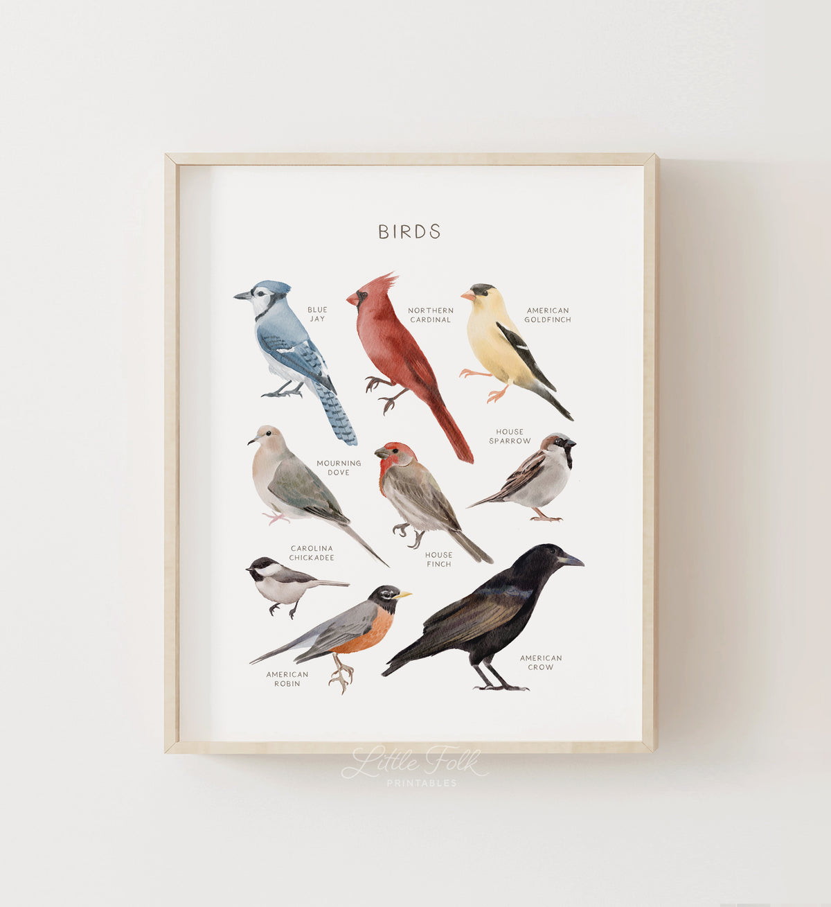 Birds Print - MRCP