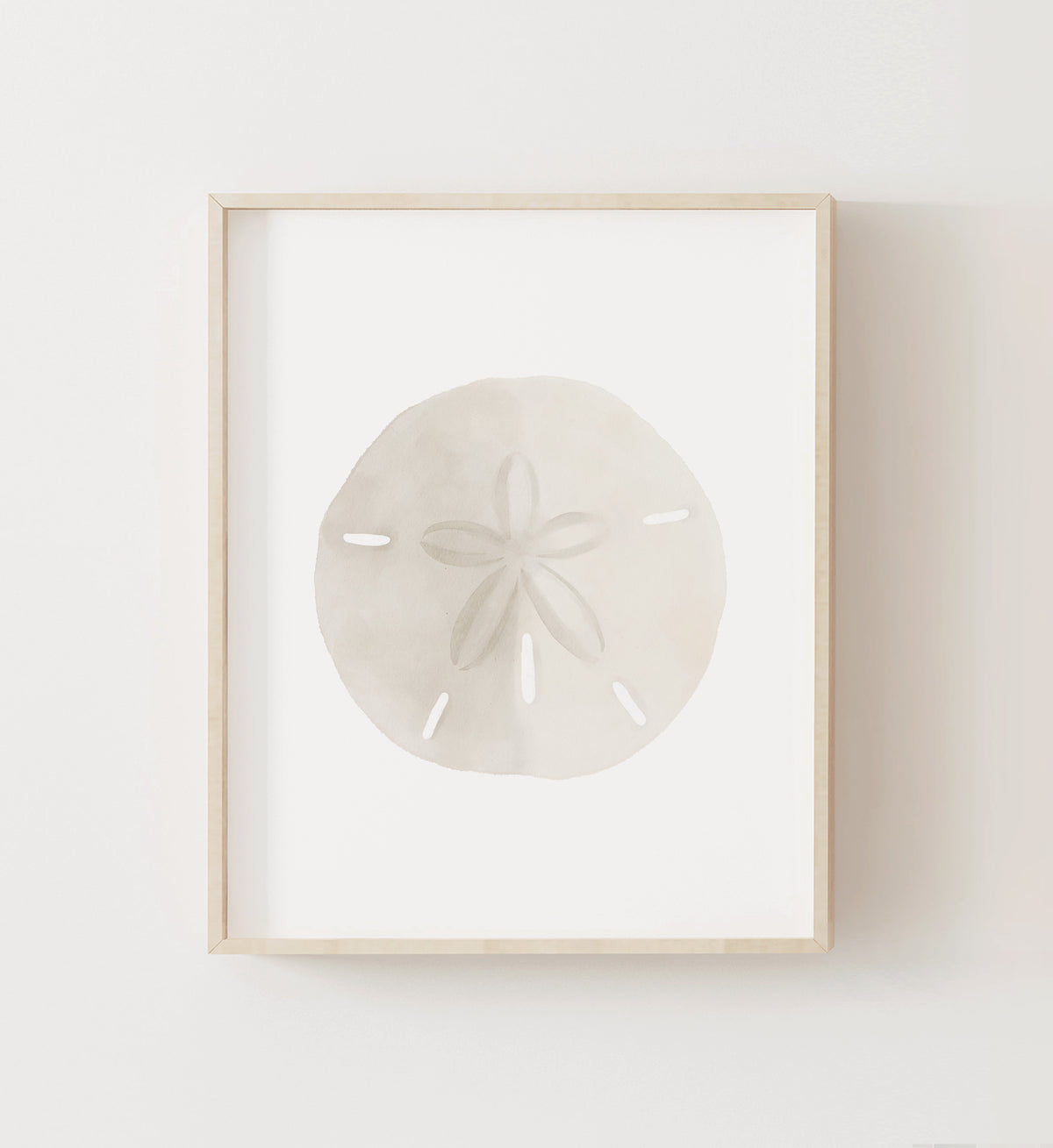 Sand Dollar Print