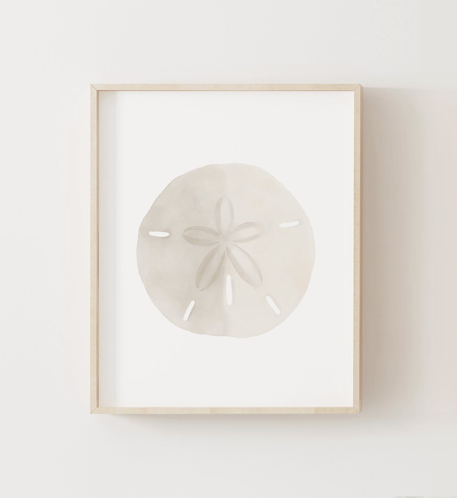 Sand Dollar Print