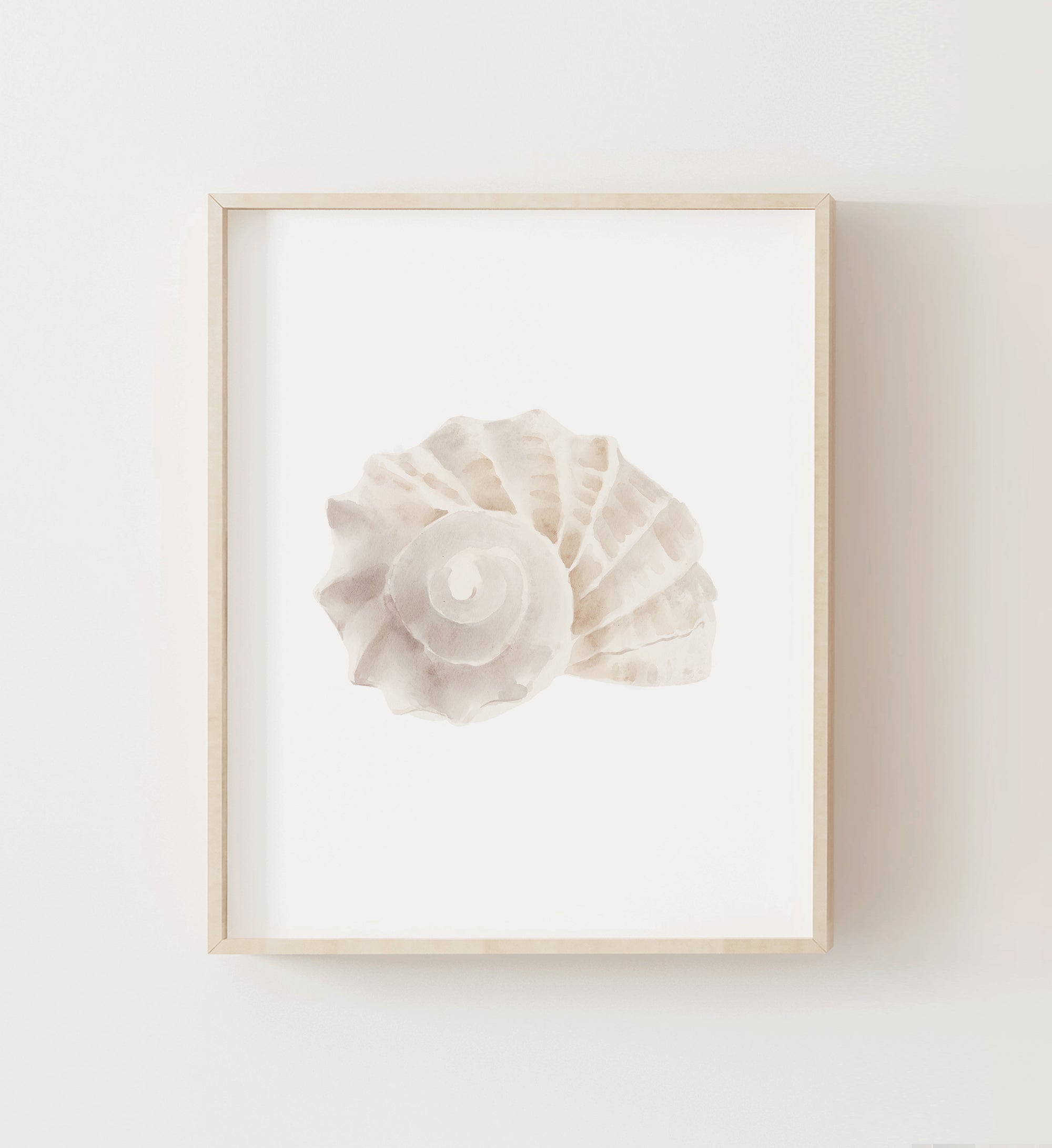 Sea Shell Print No. 5