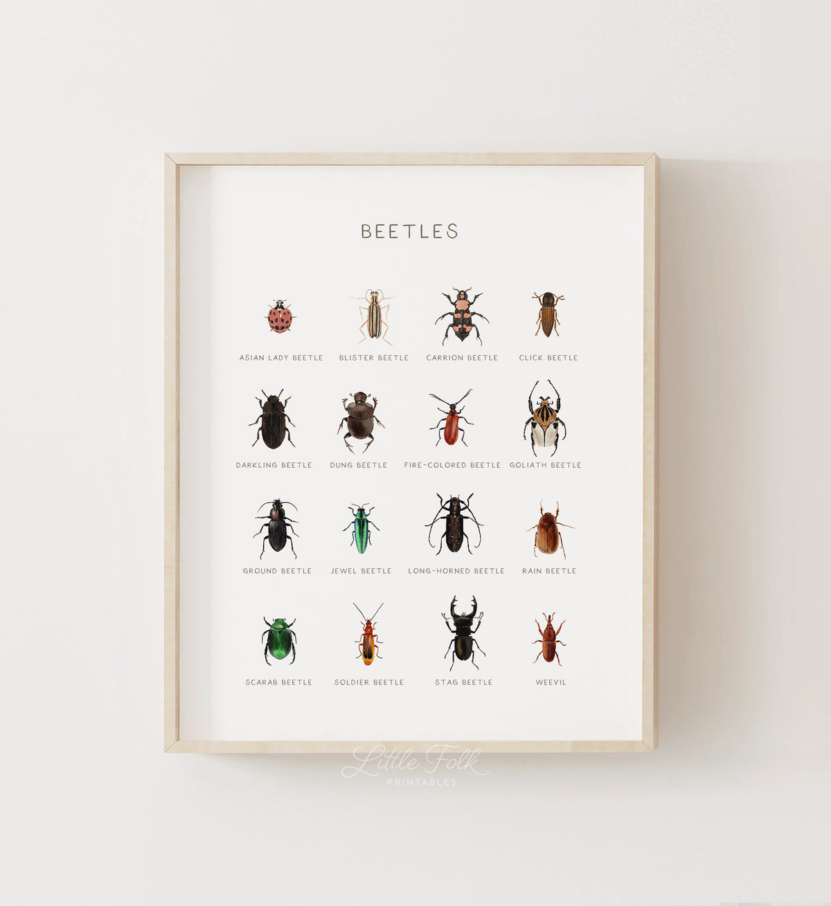 Beetles Print