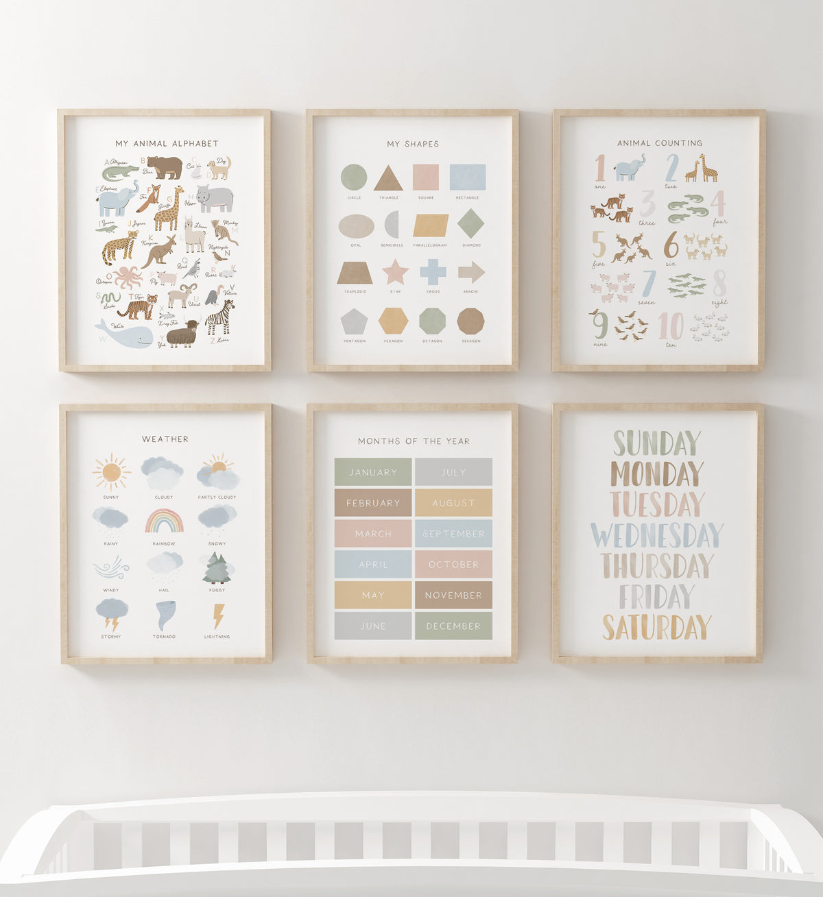 Educational Set of 6 Prints - SNCP