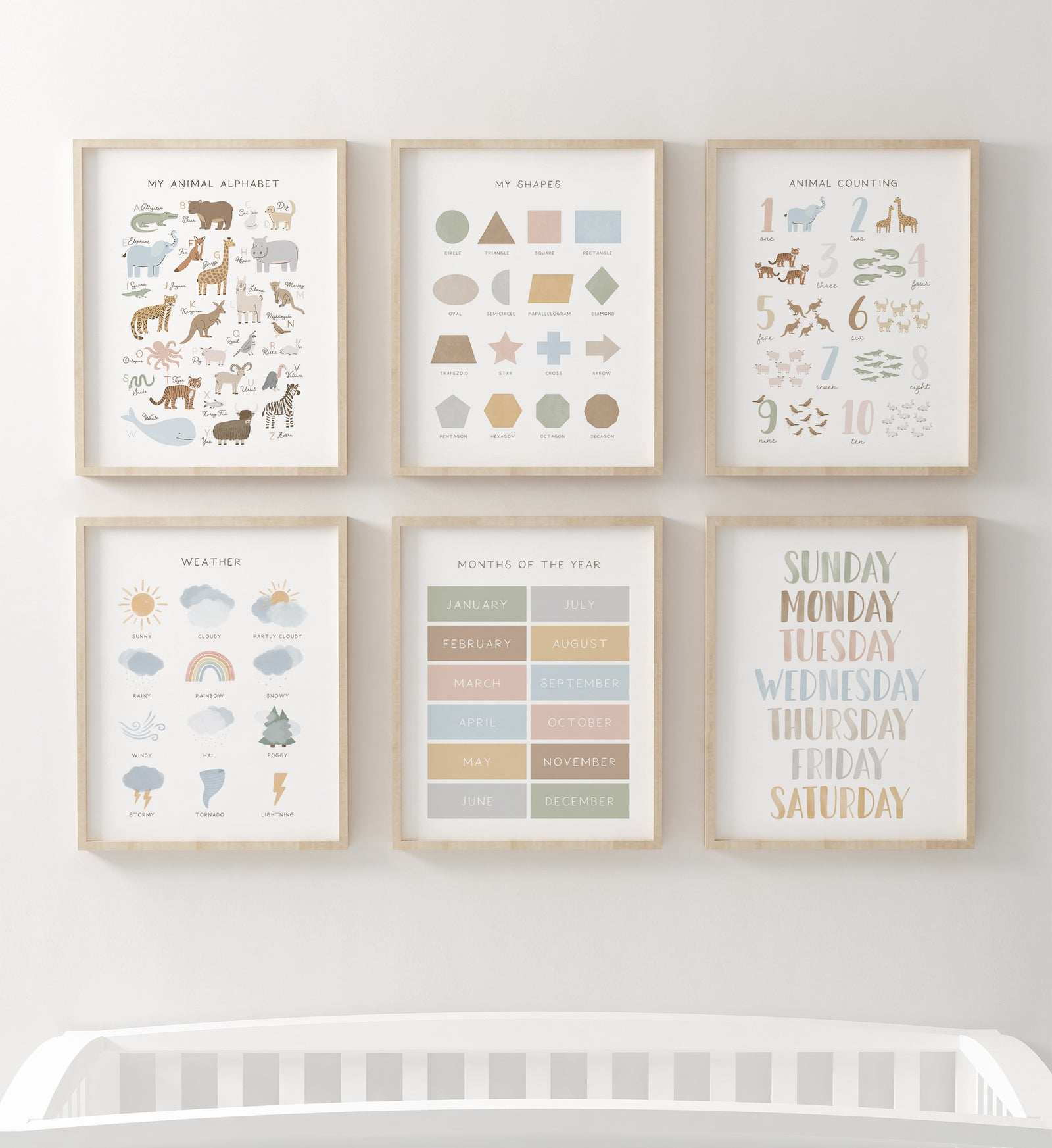 Educational Set of 6 Prints - SNCP