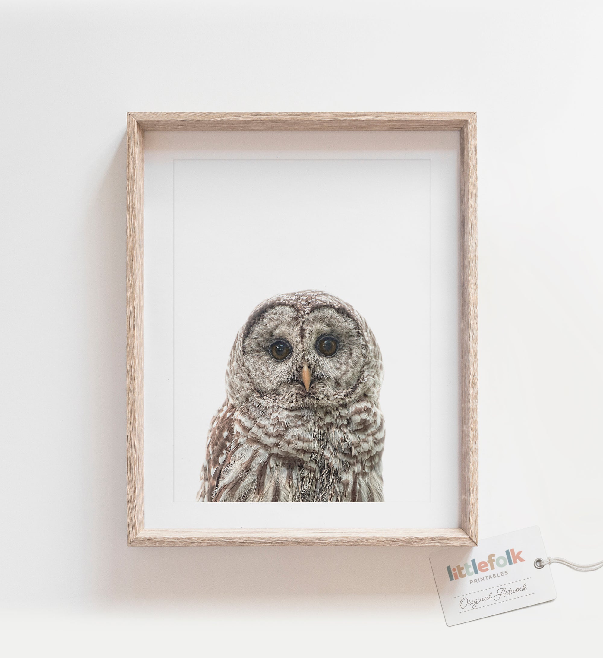 Baby Owl Print