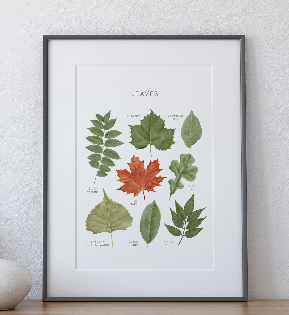 Leaves Print - MRCP