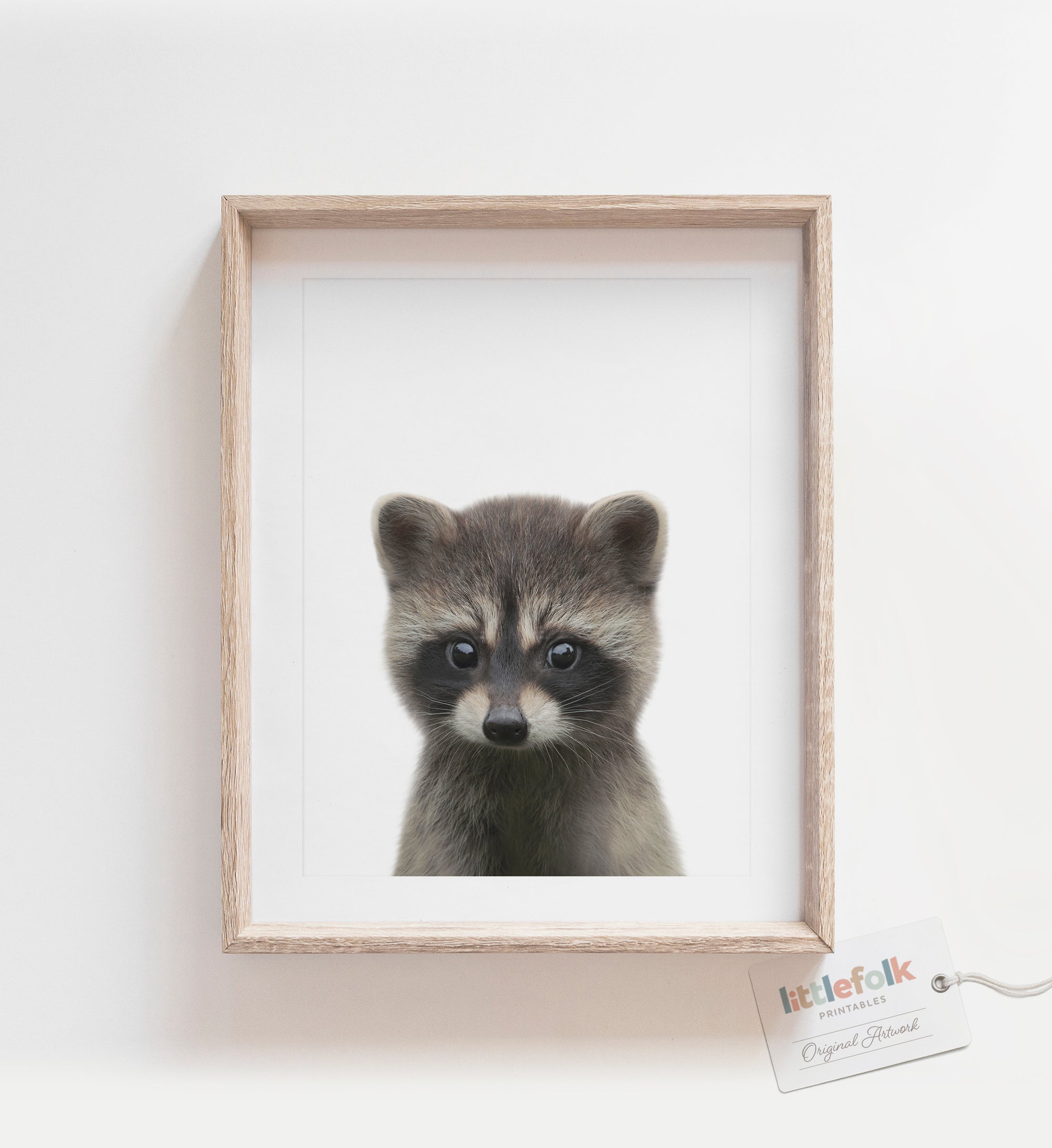 Baby Raccoon Print