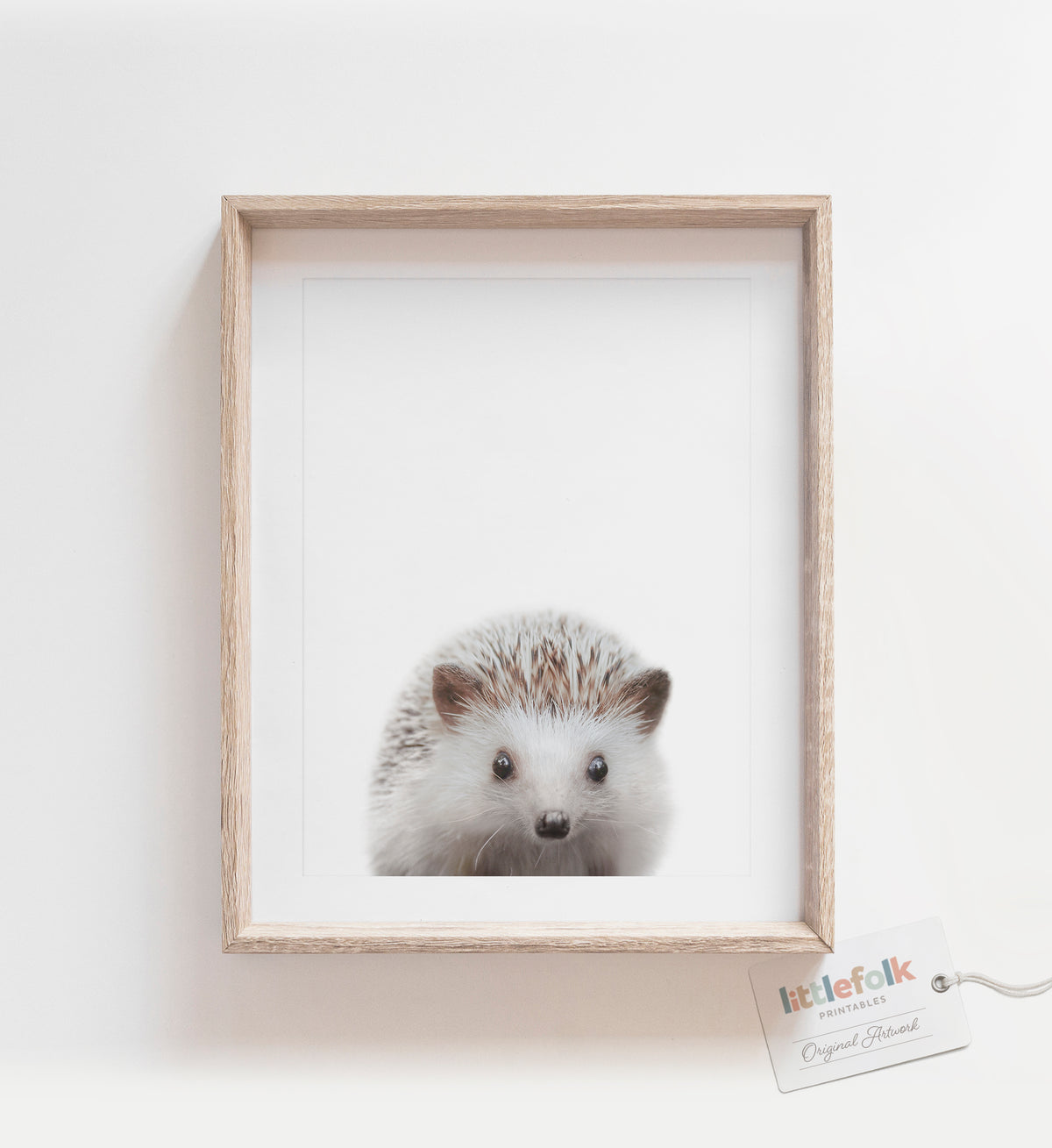 Baby Hedgehog Print