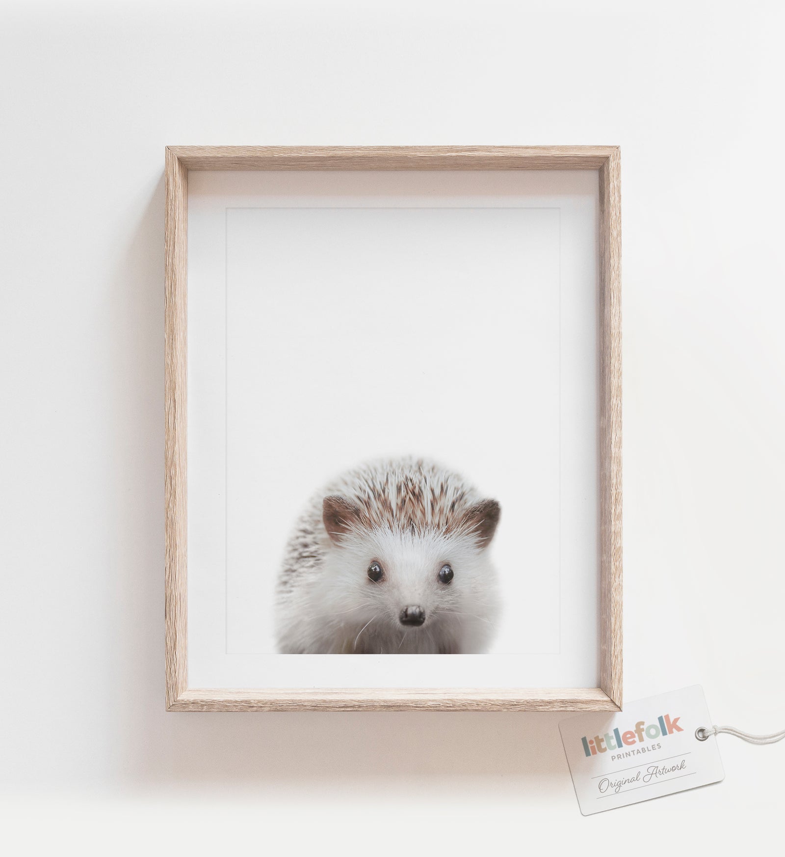 Baby Hedgehog Print