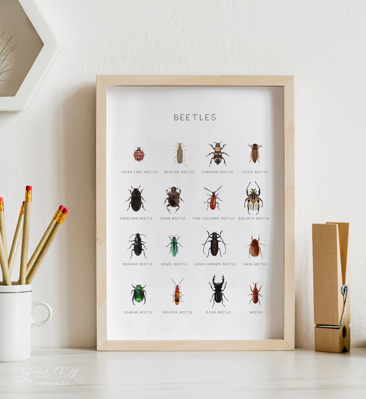Beetles Print