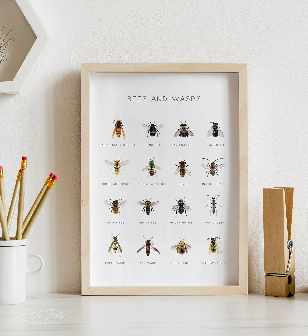 Bees and Wasps Print