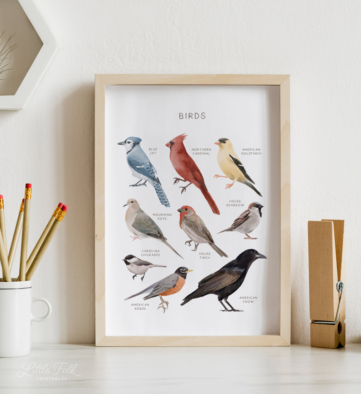 Birds Print - MRCP
