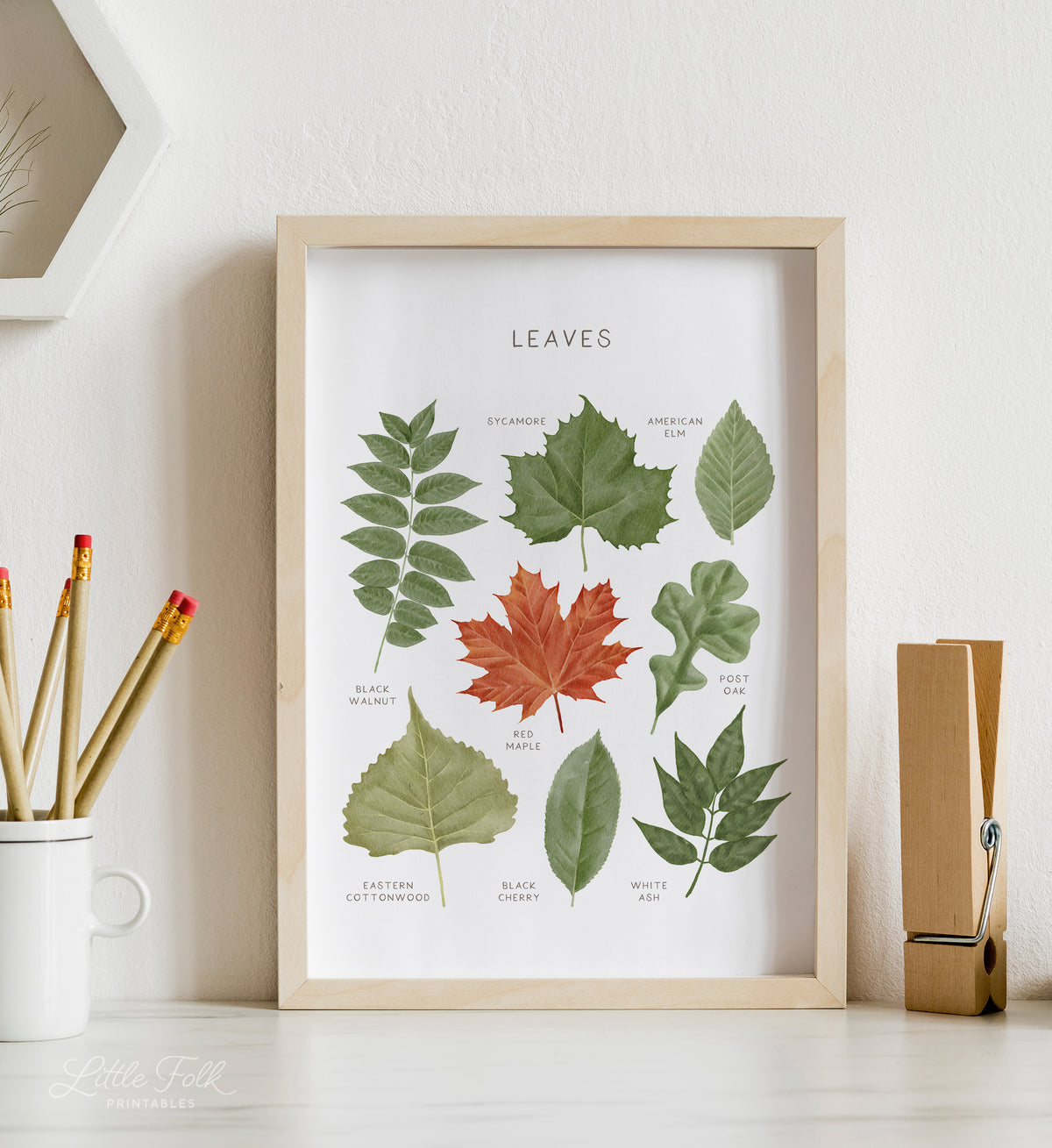 Leaves Print - MRCP